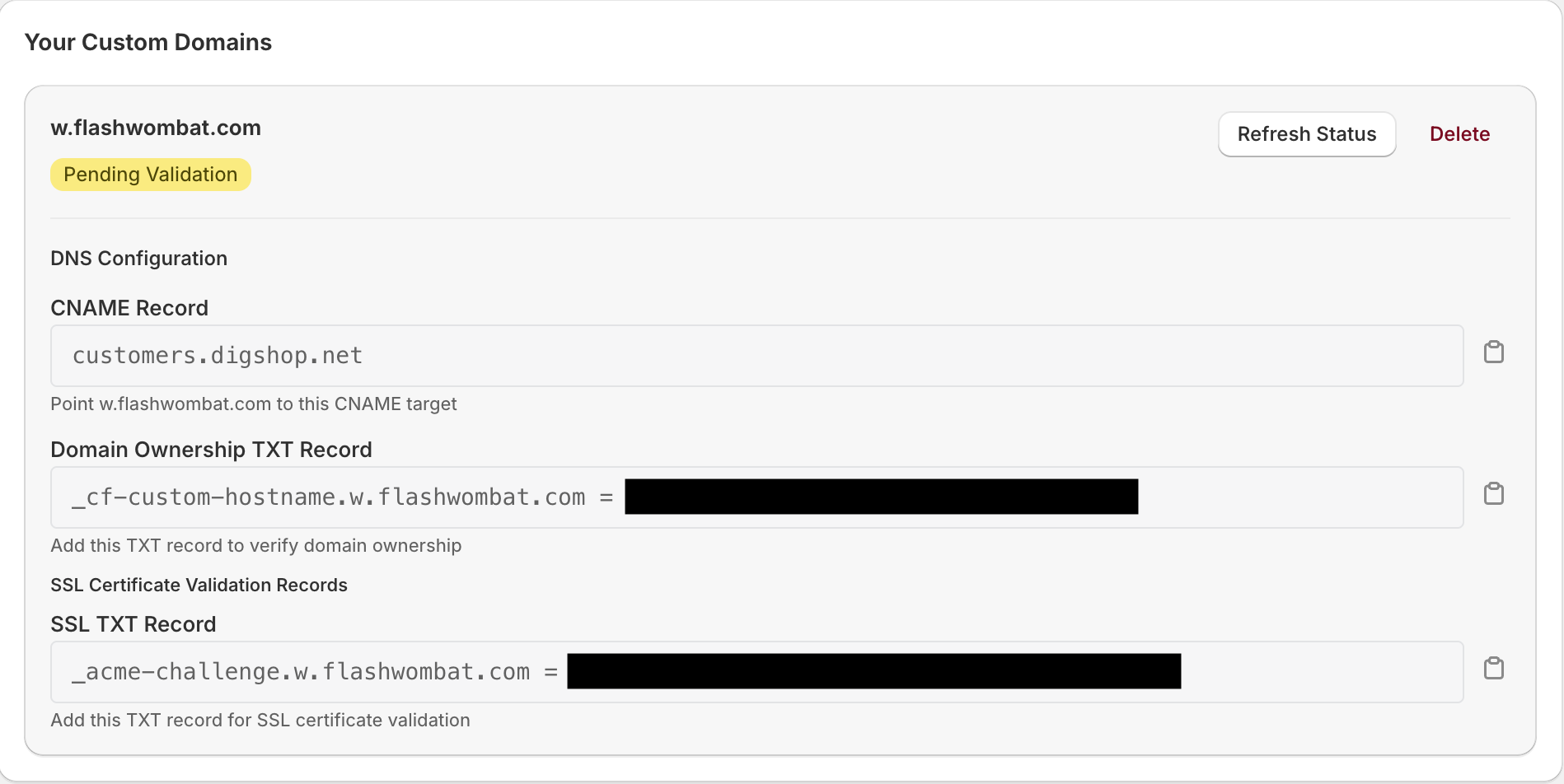 Domain validation overview