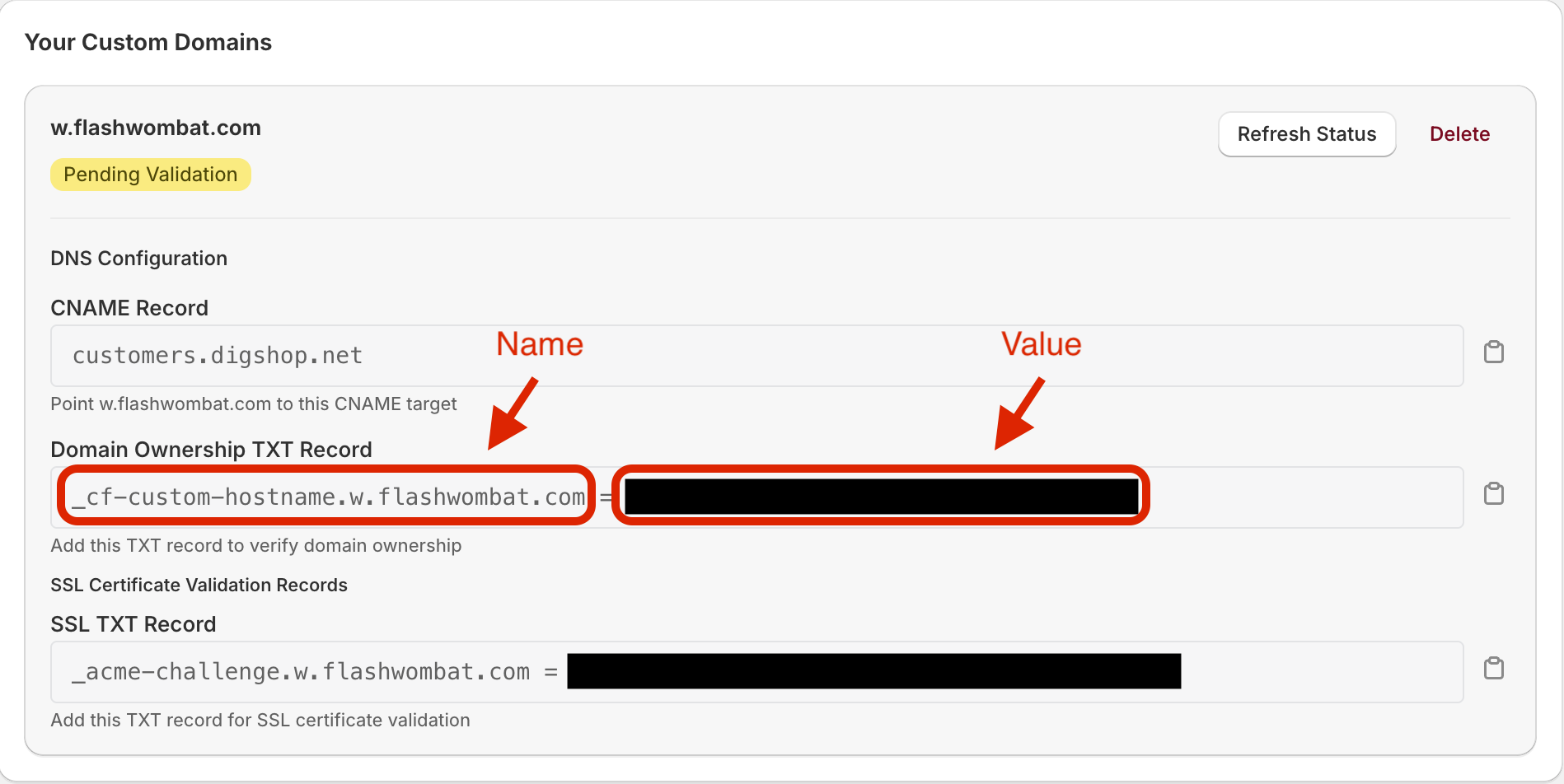 Set up TXT record for domain verification